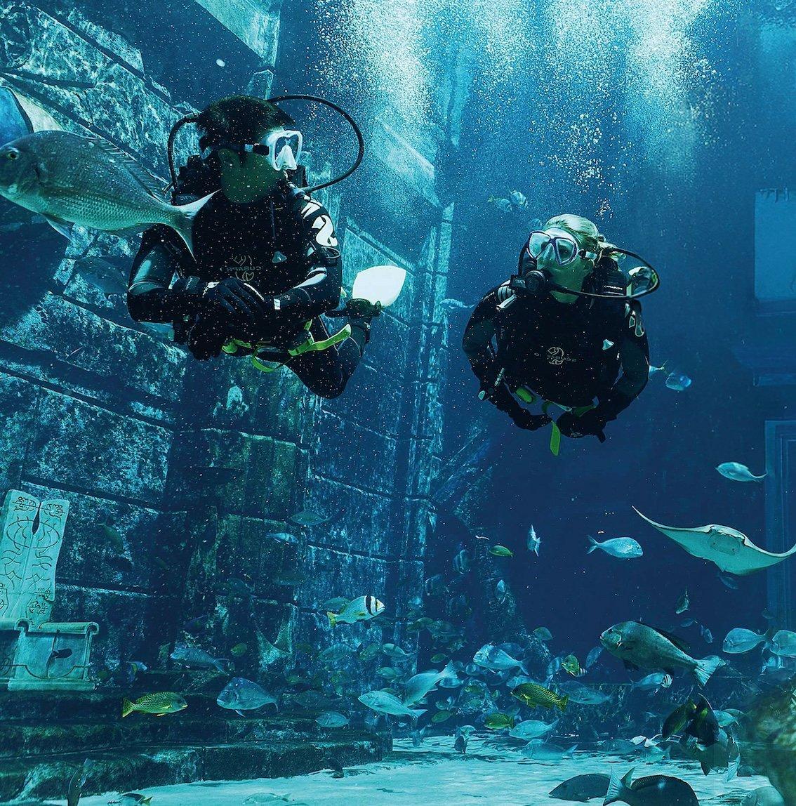 Scuba Dive